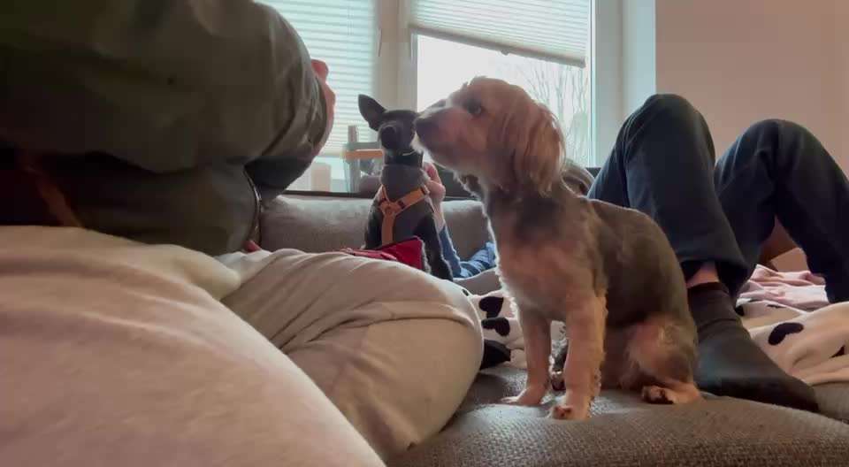 49. Impulskontrolle Challenge: Anziehen-Beitrag-Bild