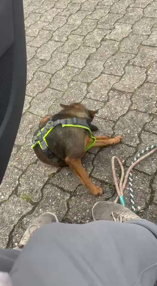 54. Impulskontrollchallenge  PAUSE MACHEN !-Beitrag-Bild