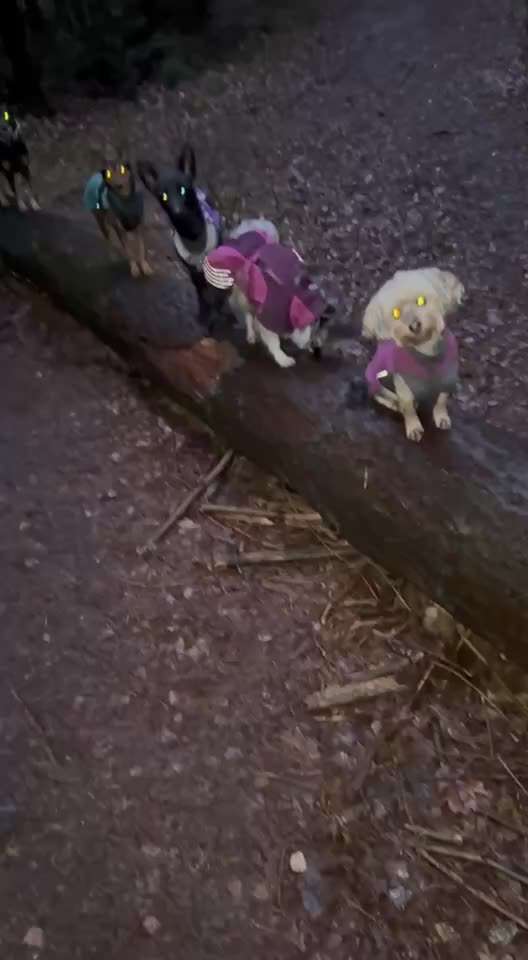 80. Trickspiel Balancieren-Beitrag-Bild