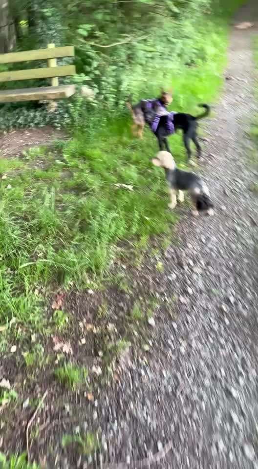 54. Impulskontrollchallenge  PAUSE MACHEN !-Beitrag-Bild