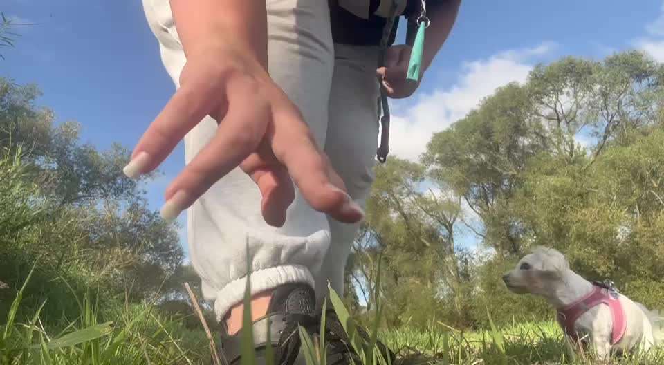 37. Trick-Challenge: Pinguin-Lauf-Beitrag-Bild