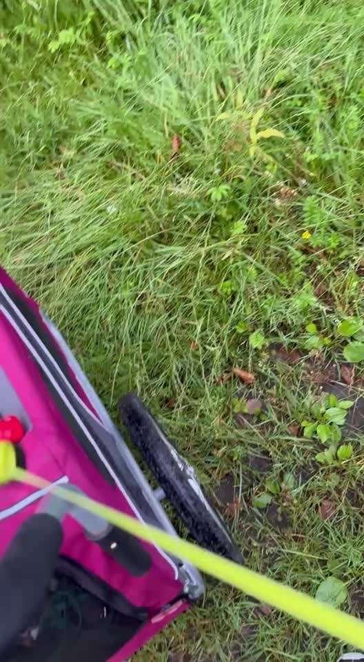 57. impulskontroll Challenge / alleine bleiben-Beitrag-Bild