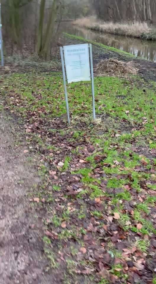 Geht ihr auf Hundewiesen?-Beitrag-Bild