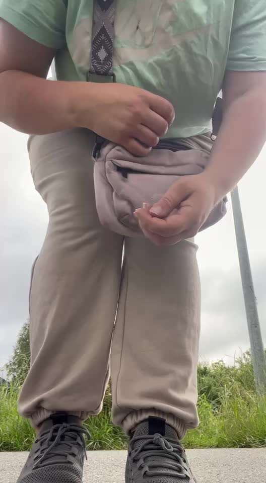 53. Gemeinsames Tricktraining :Taxi-Beitrag-Bild