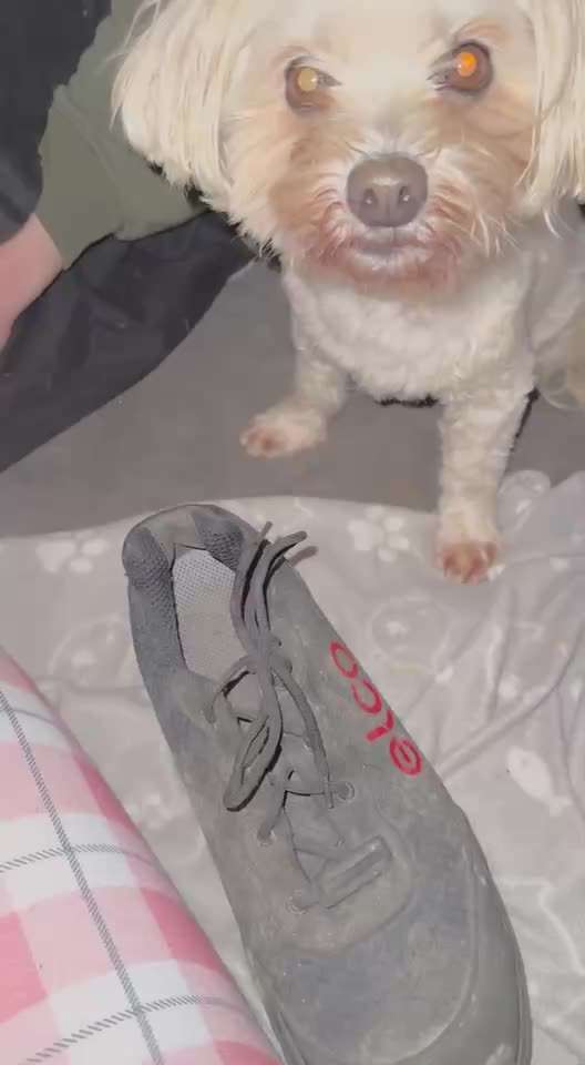 79. Trickspiel: Schuhe/Schleife öffnen-Beitrag-Bild