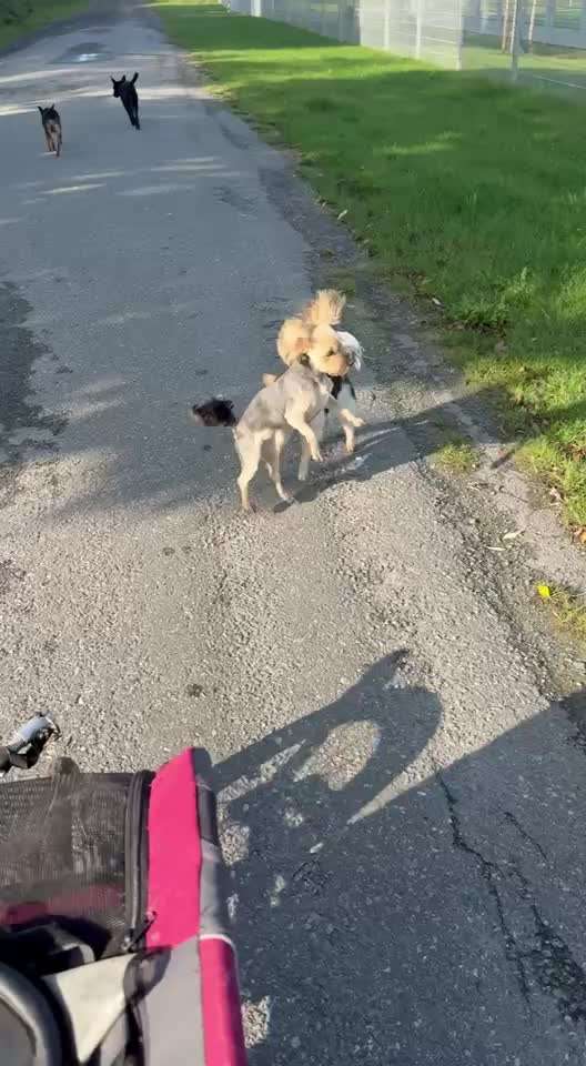 60. Impulskontrolle-Übung/Challenge:
(Spiel-) Pause-Beitrag-Bild