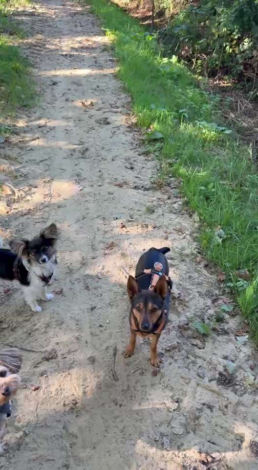 78.Trickspiel: Faceout-Beitrag-Bild