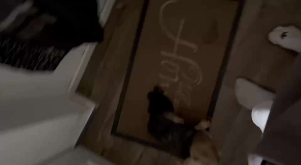 56. Impulskontrollchallenge : Ich warte auf dich !-Beitrag-Bild