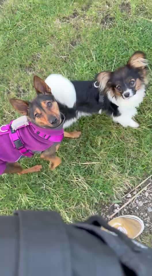 Impuls Training Nr.63-Beitrag-Bild