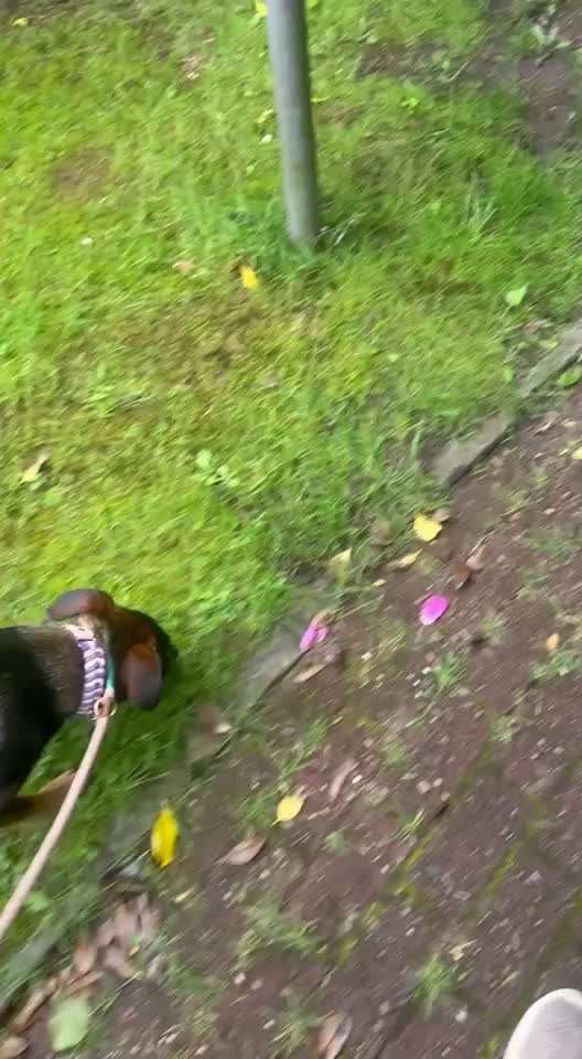 54. Impulskontrollchallenge  PAUSE MACHEN !-Beitrag-Bild