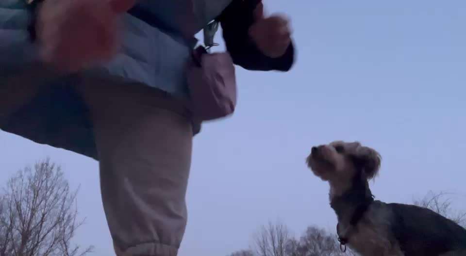 30. Impulskontrollübung: Ich trag dich auf Händen-Beitrag-Bild