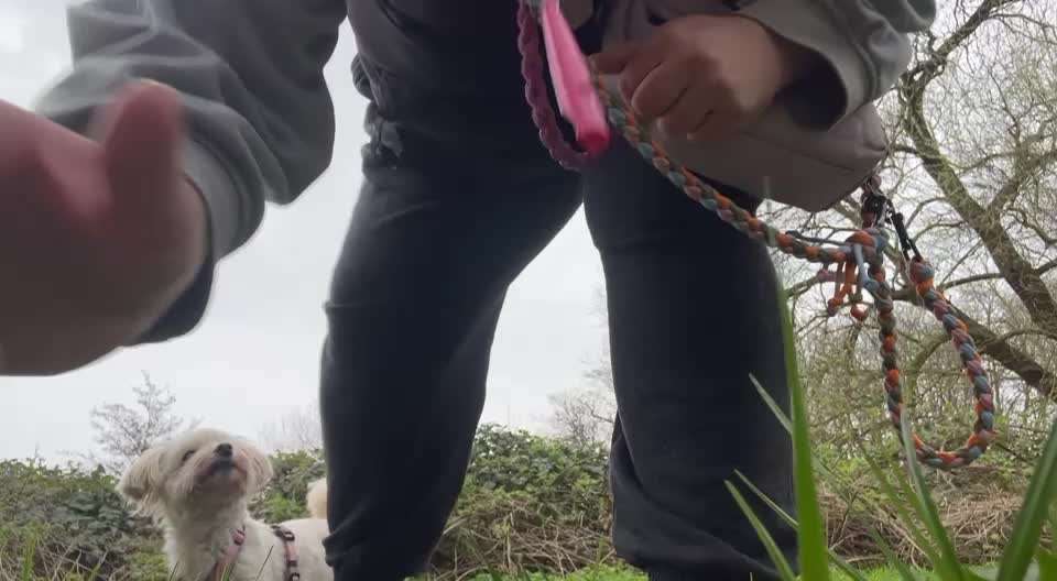 47. Rückwärts Einparken-Beitrag-Bild