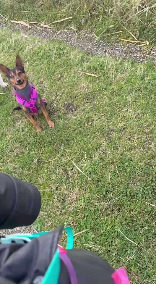 Impuls Training Nr.63-Beitrag-Bild