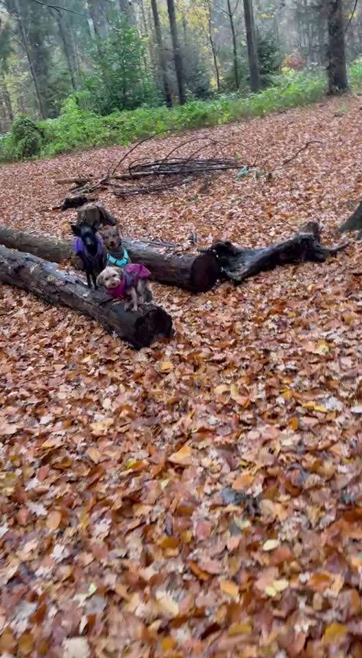 80. Trickspiel Balancieren-Beitrag-Bild