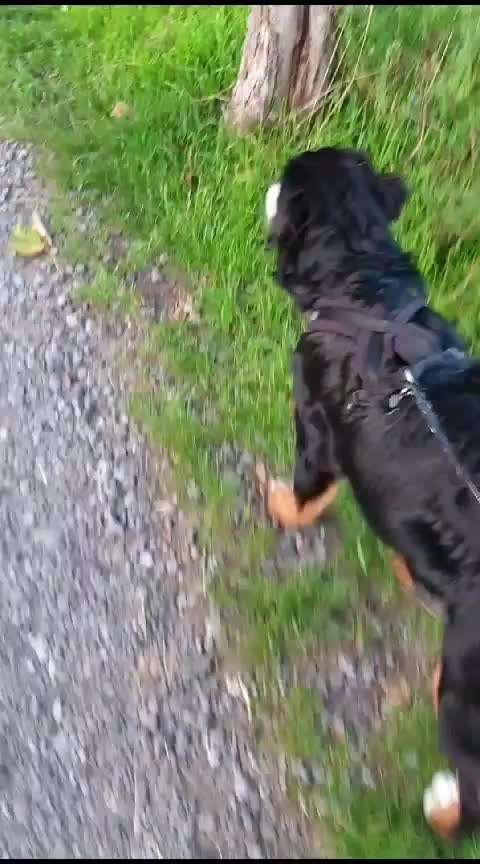 46. Video Challenge - Trainingserfolg-Beitrag-Bild