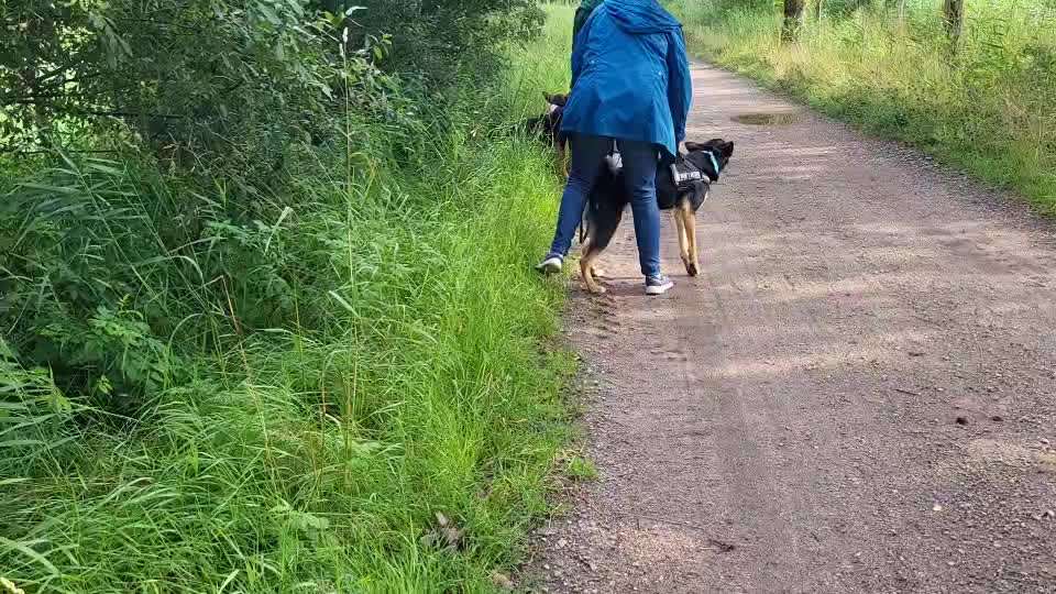 Dauerstress-Beitrag-Bild