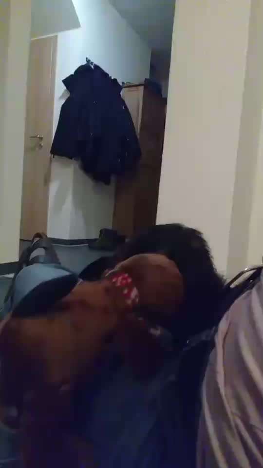 Welpen Bilder !-Beitrag-Bild