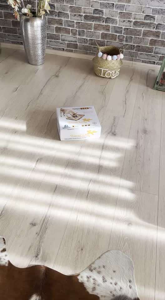 Trick Challenge Nr. 7-Beitrag-Bild