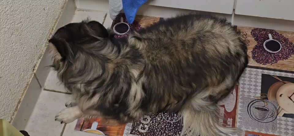 Wie habt ihr den Silvesterabend verbracht?-Beitrag-Bild