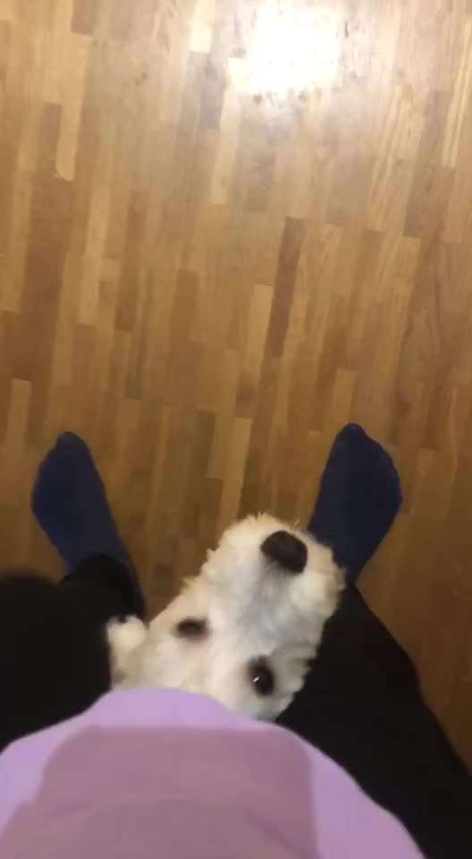 Trickchallenge - ich packe meinen 5. Koffer-Beitrag-Bild