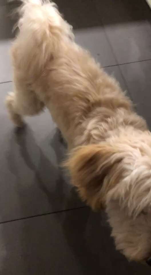 Trick Challenge ABC-Beitrag-Bild