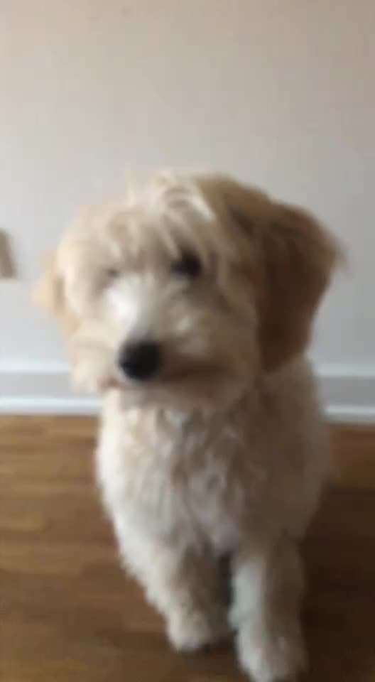 Trick Challenge ABC-Beitrag-Bild