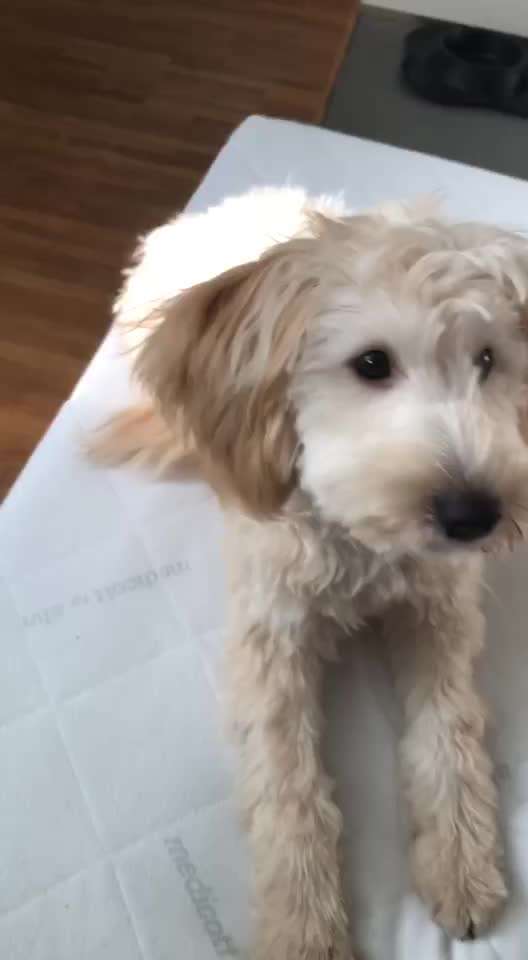 Trick Challenge ABC-Beitrag-Bild