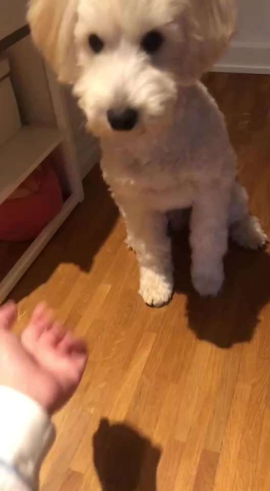 Trick Spiel - ich packe meinen 7. Koffer-Beitrag-Bild