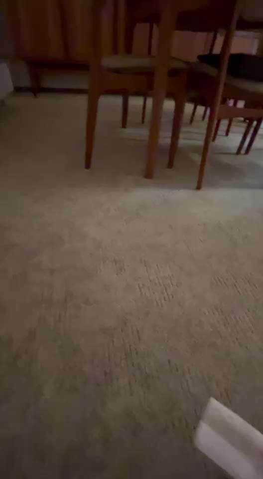 48. Papiertücher ziehen und bringen-Beitrag-Bild