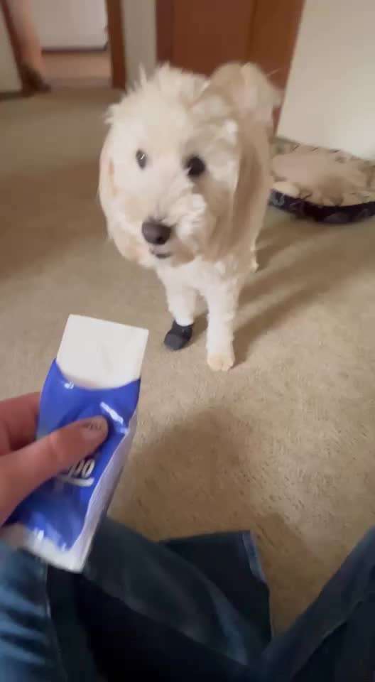 48. Papiertücher ziehen und bringen-Beitrag-Bild