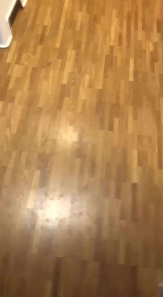 Trickchallenge - ich packe meinen 5. Koffer-Beitrag-Bild