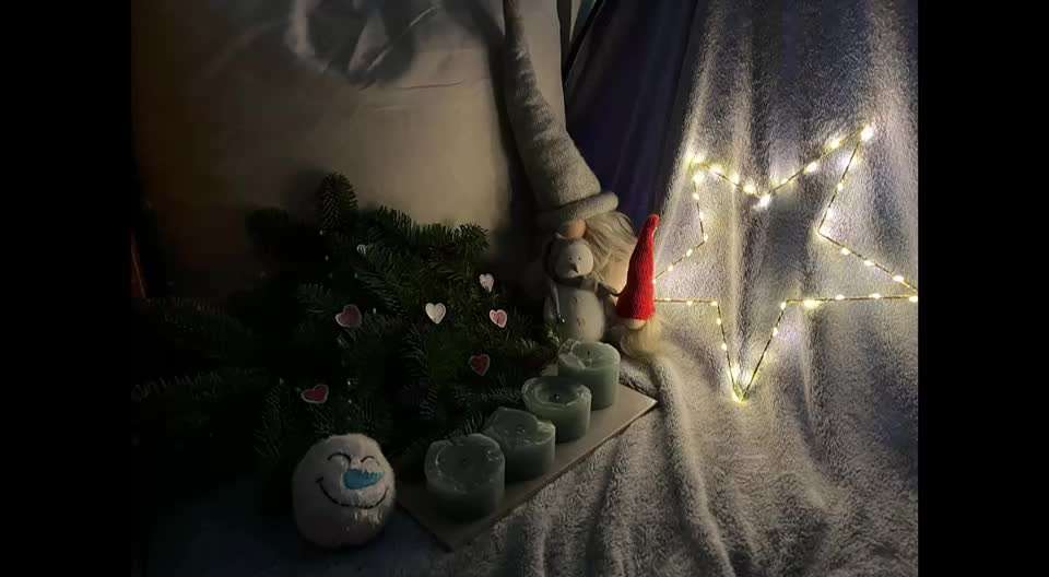 Action-Fun Hund- Aventskalender-Beitrag-Bild