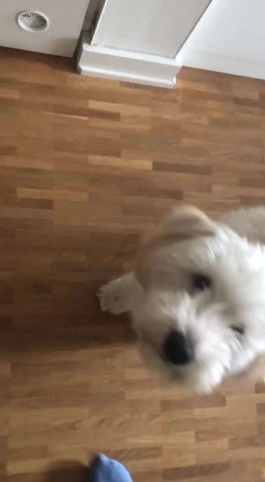 Veteranenzone - Koffer packen für fortgeschrittene-Beitrag-Bild