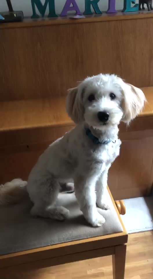 Trick Challenge ABC-Beitrag-Bild