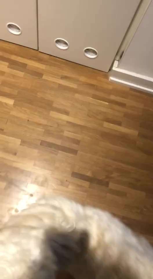 Veteranenzone - Koffer packen für fortgeschrittene-Beitrag-Bild