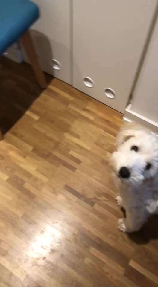 Trick Spiel - ich packe meinen 9. Koffer-Beitrag-Bild