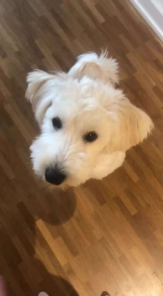 Trickchallenge - ich packe meinen 6. Koffer-Beitrag-Bild