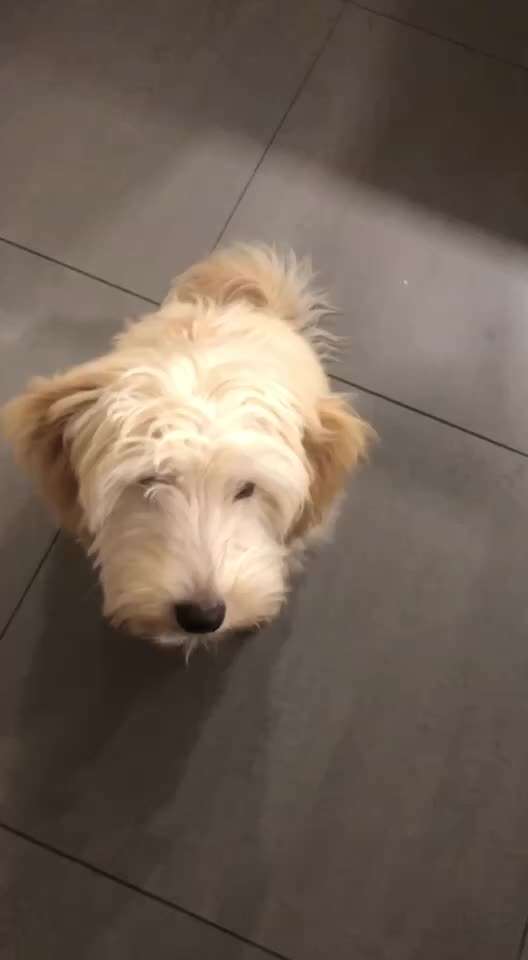 Trick Challenge ABC-Beitrag-Bild