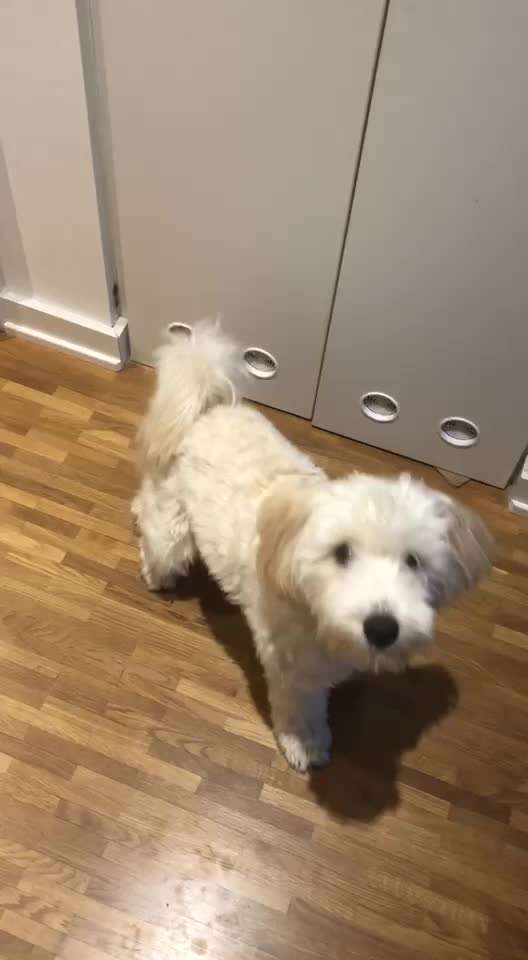 Veteranenzone - Koffer packen für fortgeschrittene-Beitrag-Bild