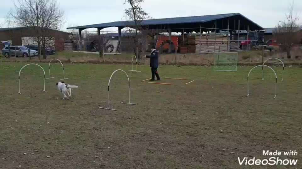 Hoopers unser Sport-Beitrag-Bild