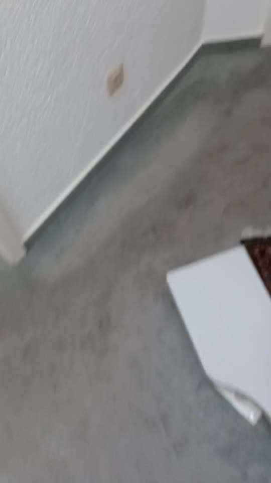 Handy Video Challenge Nr. 39- Bellen u.s.w.-Beitrag-Bild