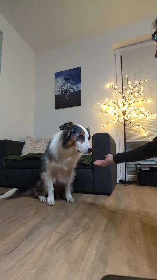 Trick Spiel - Koffer packen - der 15.-Beitrag-Bild