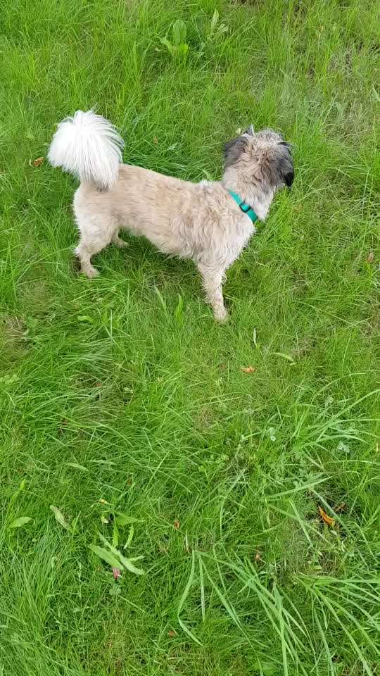 Kastration-Beitrag-Bild