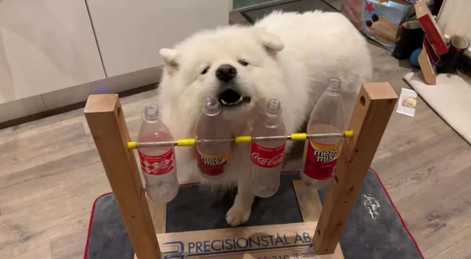 Beschäftigung für drinnen zum Nachbauen-Beitrag-Bild