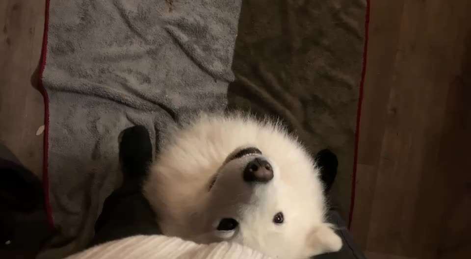 Trick Callange Nr.4-Beitrag-Bild