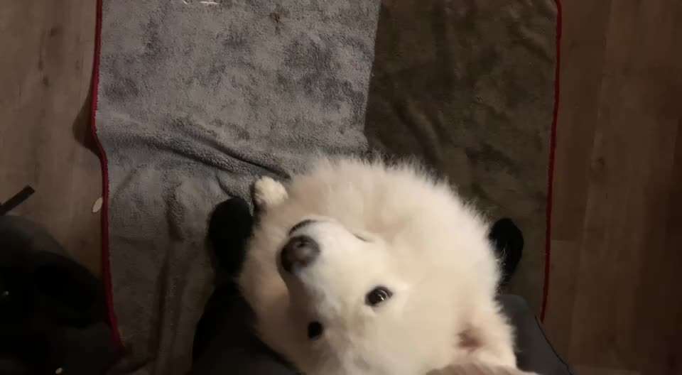 Trick Callange Nr.4-Beitrag-Bild