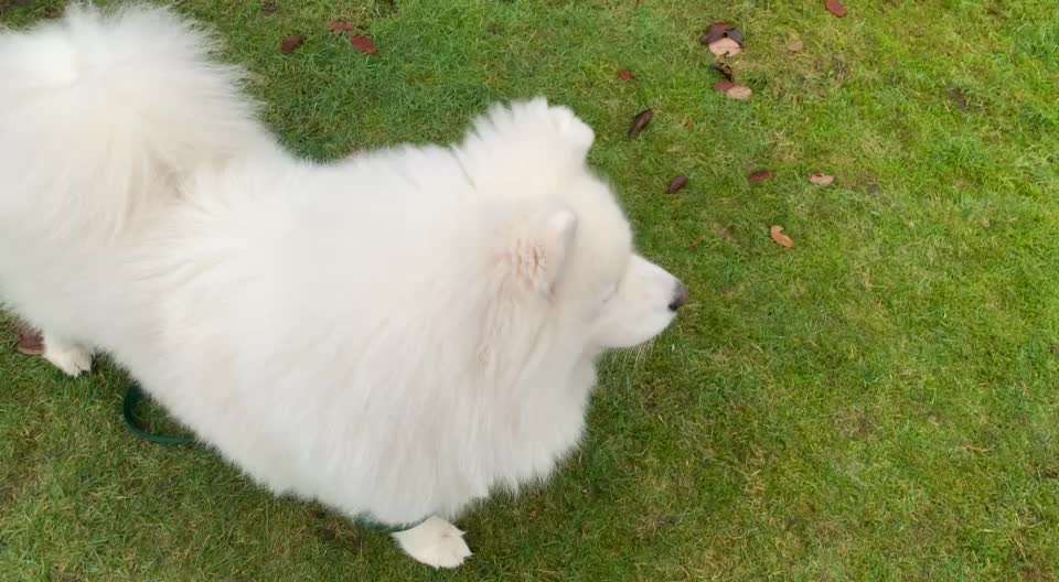 Trick Challenge Nr.5-Beitrag-Bild