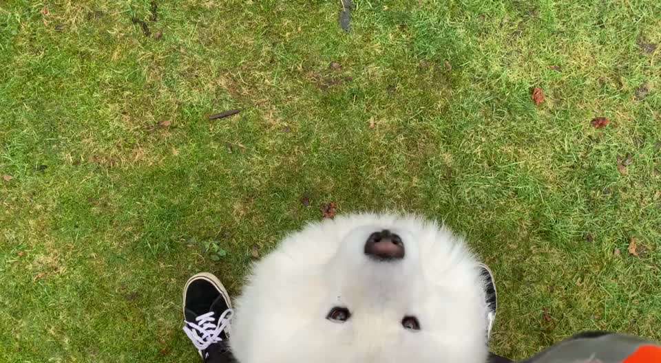 Trick Challenge Nr.5-Beitrag-Bild