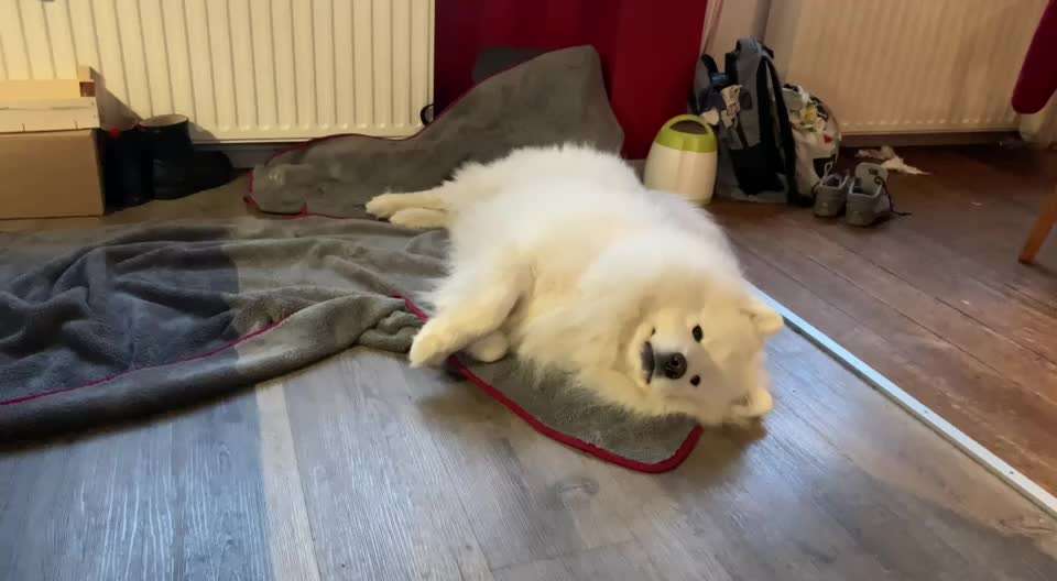 𝕋ℝ𝕀ℂ𝕂 ℂℍ𝔸𝕃𝕃𝔼ℕ𝔾𝔼 ℕℝ. 𝟚-Beitrag-Bild