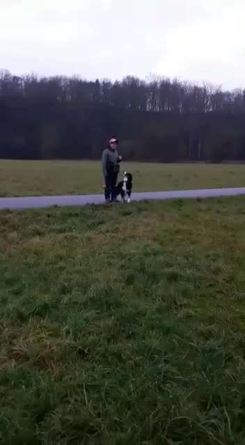 Trick Challenge Nr.5-Beitrag-Bild